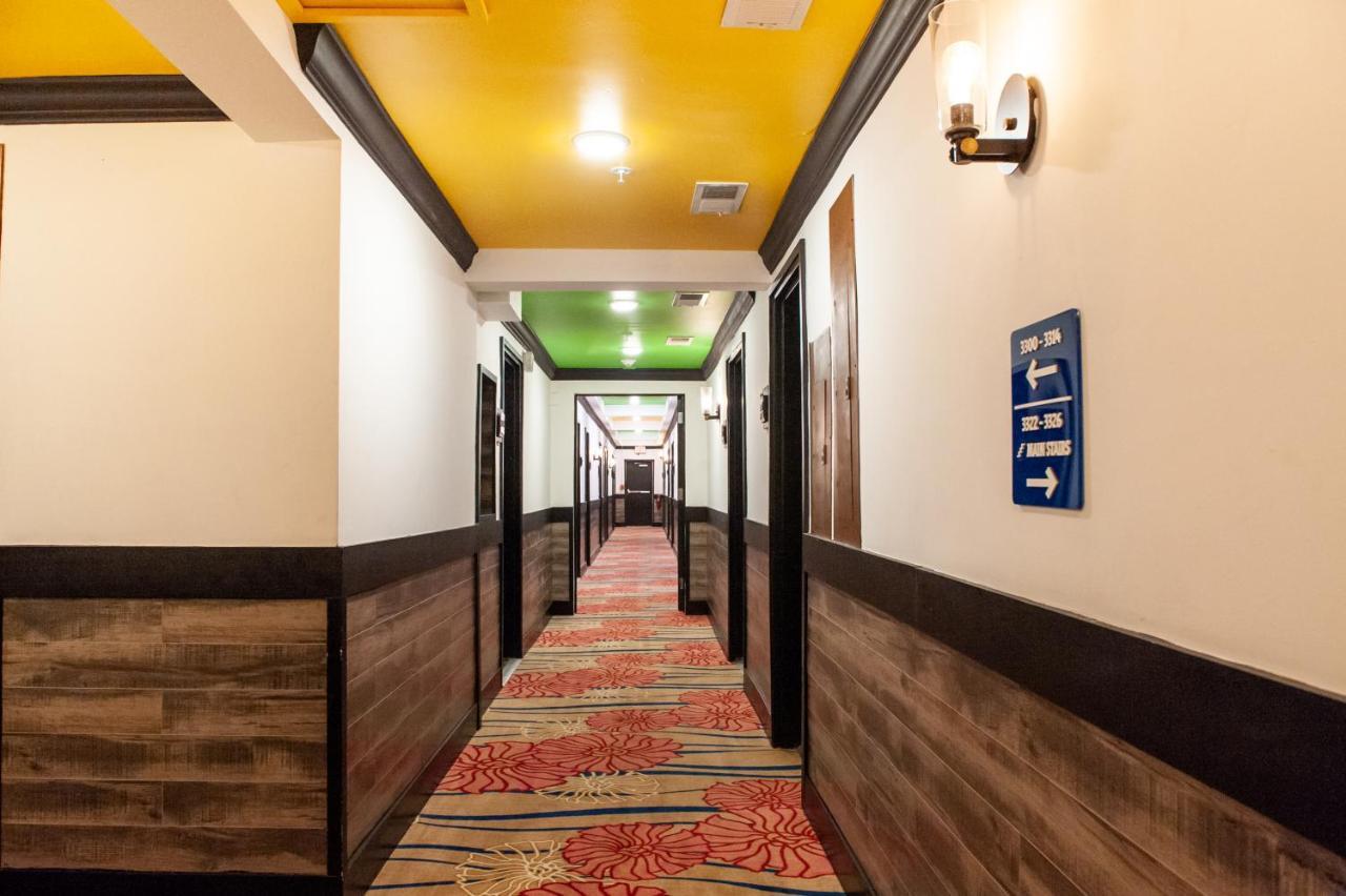 คาตาลีนา โฮเทล แอนด์ บีช คลับ Hotel ไมอามีบีช ภายนอก รูปภาพ